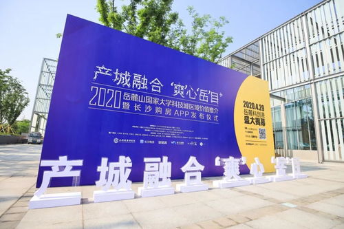 大干一百天看岳麓作為之項(xiàng)目篇